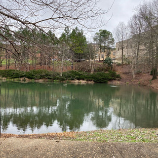 More than university campus