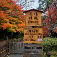 室町時代からの歴史的文化財も多数【二尊院】✨