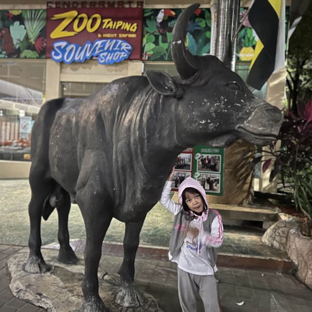 Night Safari Zoo Taiping