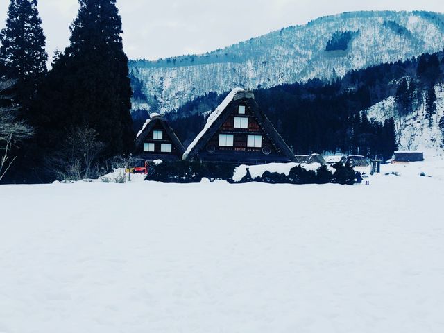 掛住鄉下系列⋯名古屋白川鄉合掌村點燈