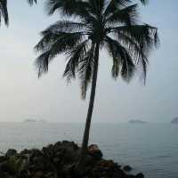 แหลมใบลาน