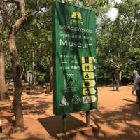 sigiriya Rock Lion roxxx me