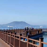 요즘은 산책도 바닷가에서 한다며 ? | 목포 평화광장
