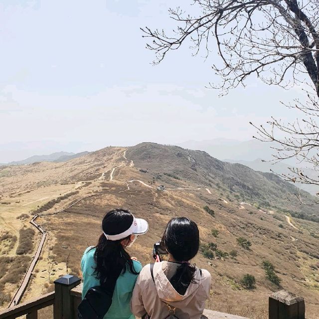 5월엔 철쭉가득 황매산🌸🌺