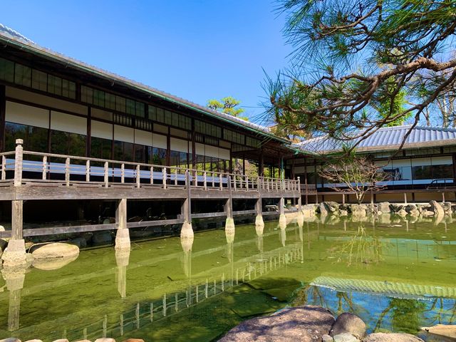 京都　京都散策旅　渉成園の庭園と桜のコラボに感動❗️