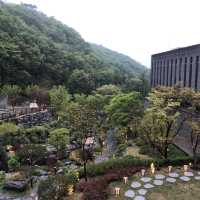 [제천] 포레스트 리솜