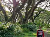 Great National Park Wonderful Indonesia