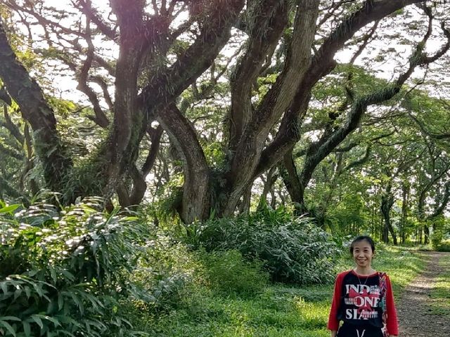 Great National Park Wonderful Indonesia