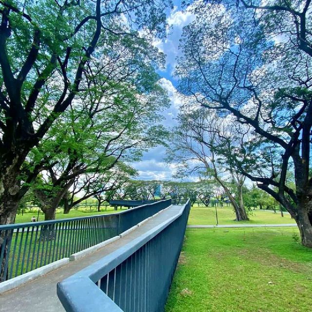 สวนเบญจกิติ
