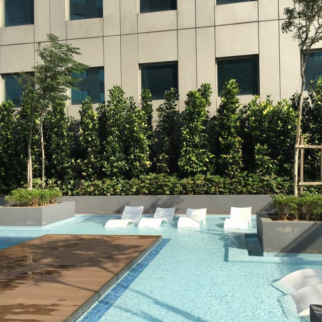 The Cookie Hotel Dbl Tree JB 