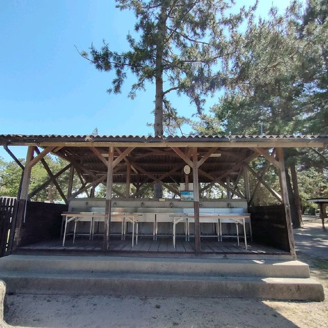 【滋賀県 野洲市】琵琶湖✨びわこマイアミランドの施設紹介🌟