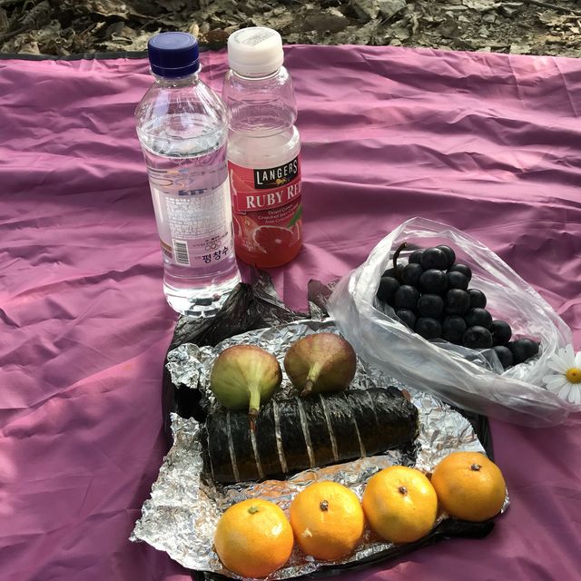 가볍게 등산하기 좋은 코스 "계양산"