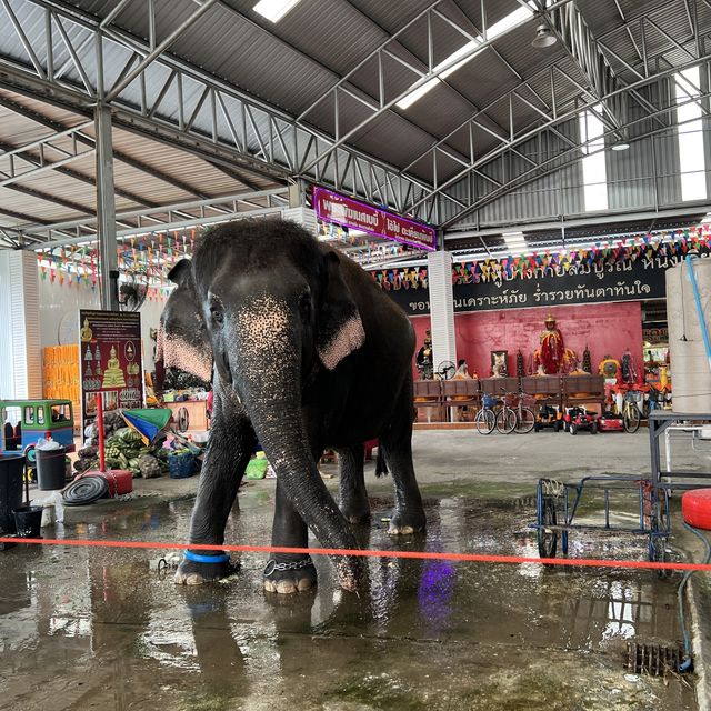 タイの有名観光スポット、ピンクのガネーシャ