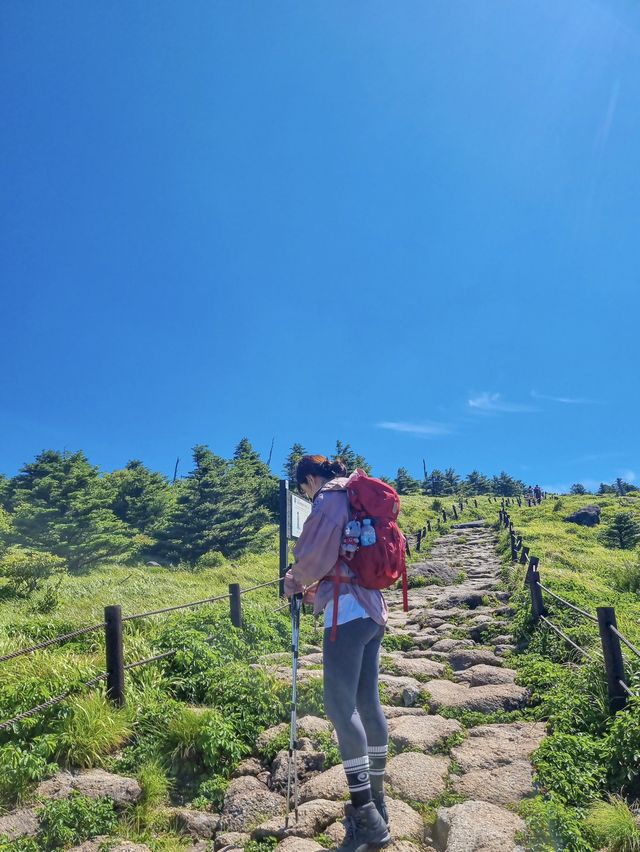 여름 지리?? 안갔음 말을 말어~~~~~