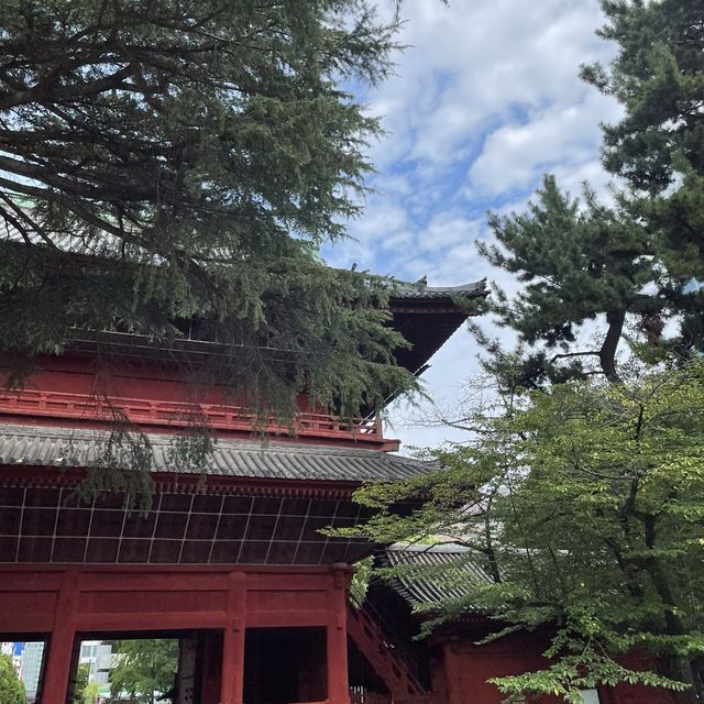 【東京都】東京タワーをバックに増上寺