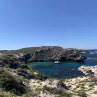 Exploring Rottenest Island — Western Aus 🇦🇺