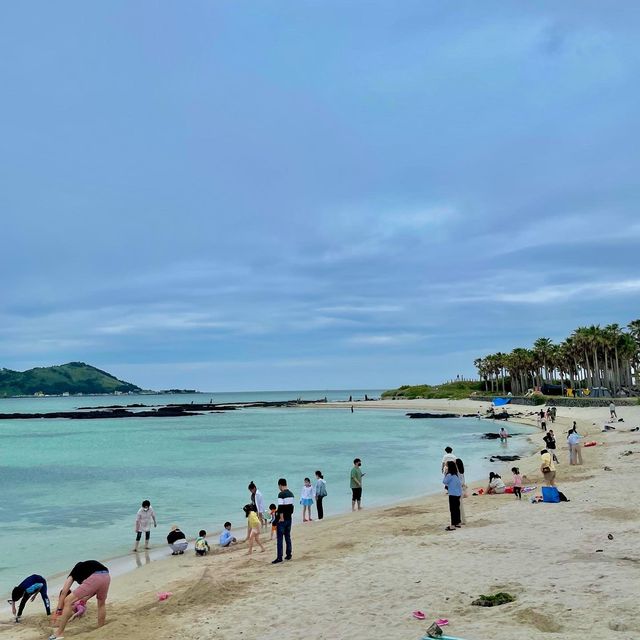 제주도 캠핑장 추천🔥 금능해수욕장에서 즐기기🔥