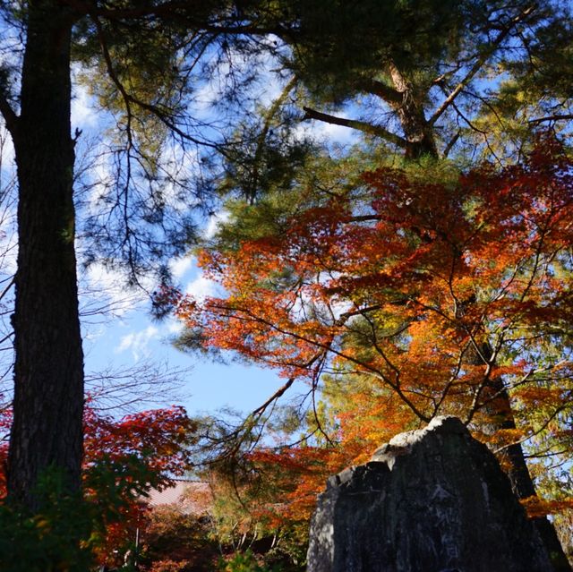 長瀞の紅葉ちょー綺麗！是非行ってみてください