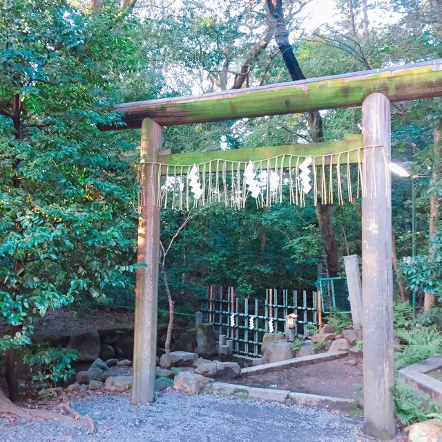 【日本 京都】木嶋神社 超稀有三柱鳥居！！