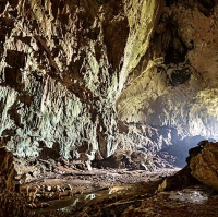 Deer & Lang Cave - Mulu National Park, MZV