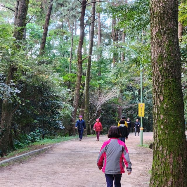 🚶🏻 도심 속 숲길을 거닐다, 한라수목원 산책길