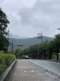 수성유원지 숲길 💚 대구 피크닉 명소