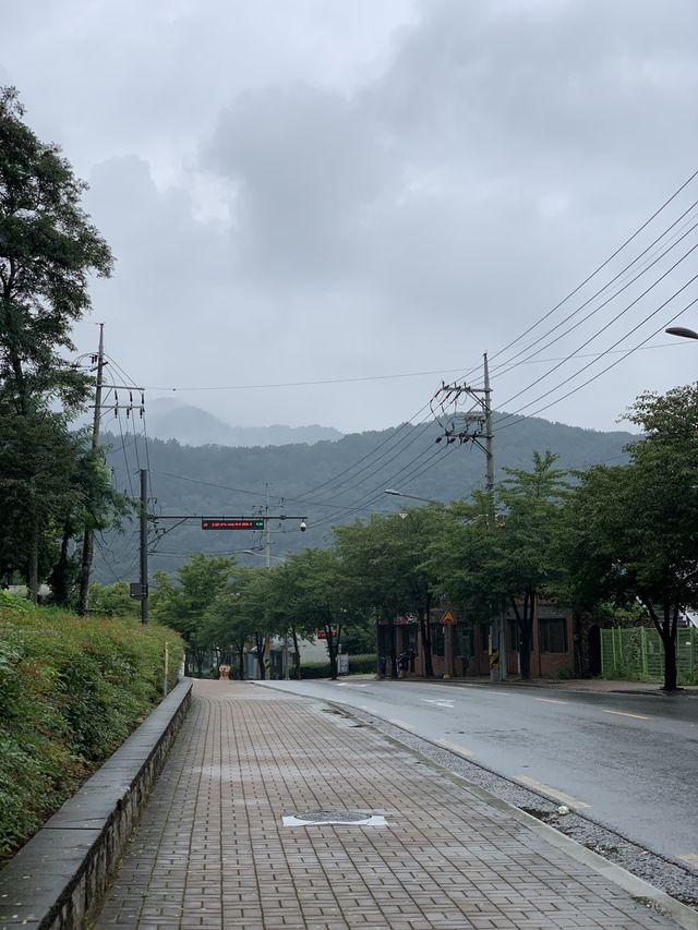 수성유원지 숲길 💚 대구 피크닉 명소