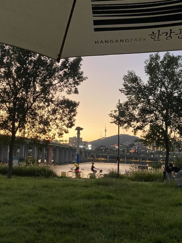 한강공원에서 피크닉하기⛱🧃
