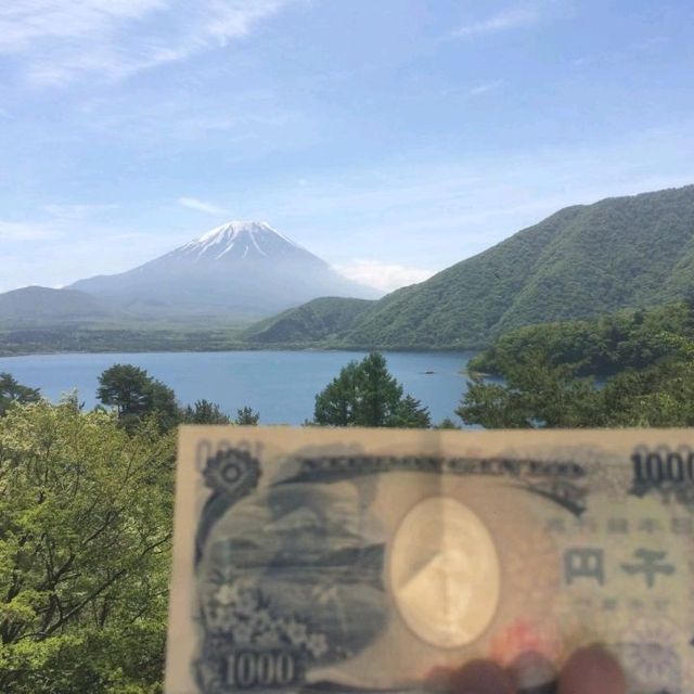 1000円札の富士山！ どこからの景色か御存知？ 絶景を見に行きませんか？