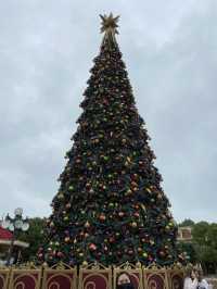 聖誕🎄的迪迪尼🥳