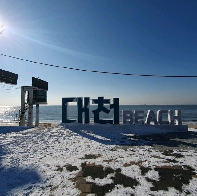 대천해수욕장에서 걸어서 10분이면 대천항 수산시장이다.