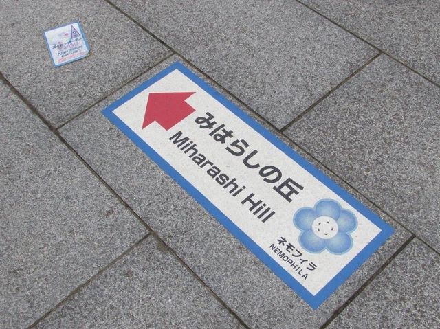 遊日本·茨城縣國營常陸海濱公園