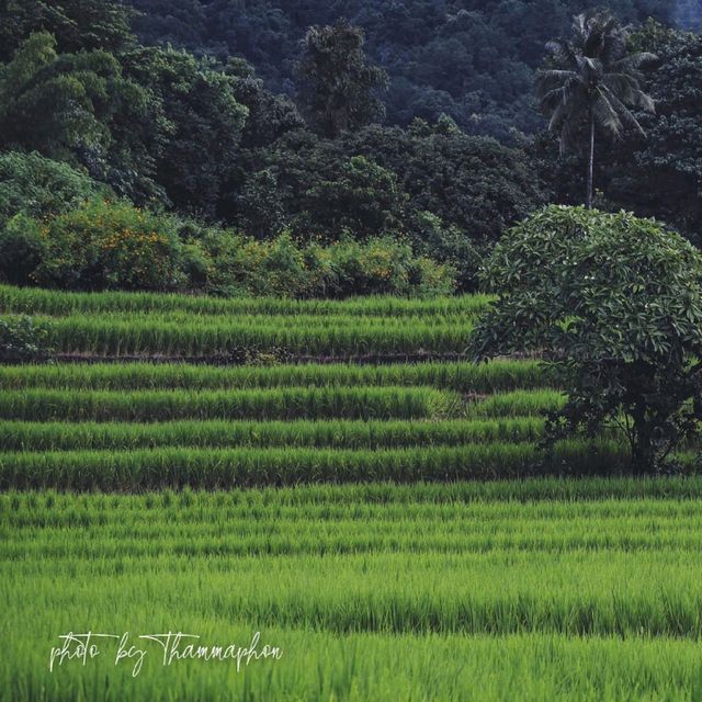 ที่พักหลักร้อยวิวธรรมชาติ​