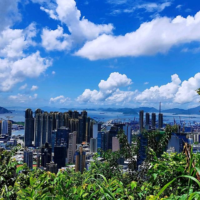 林蔭處處的鷹巢山自然教育徑