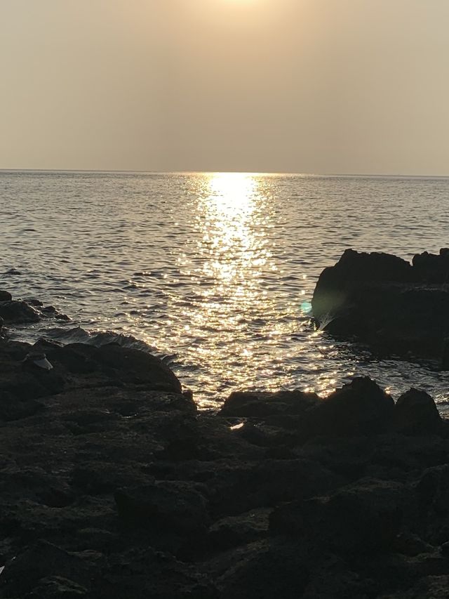 [제주도] 지질트레일 수월봉 