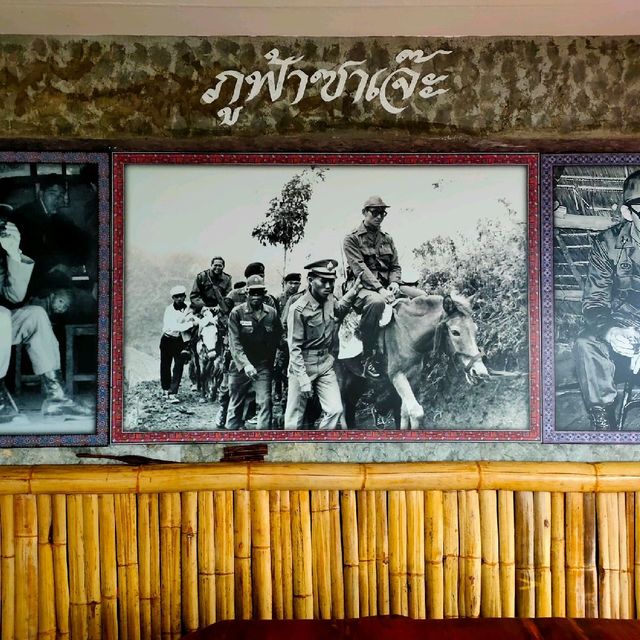 ภูฟ้าซาเจ๊ะ @ดอยผาหมี