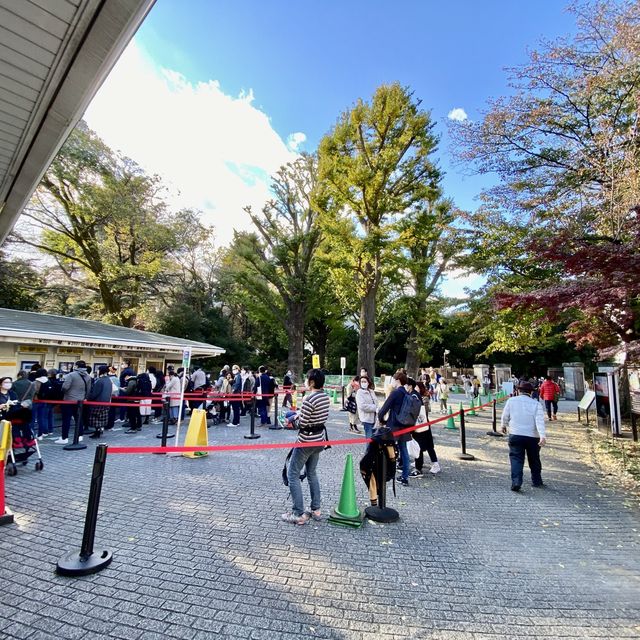 紅葉の新宿御苑・新宿門