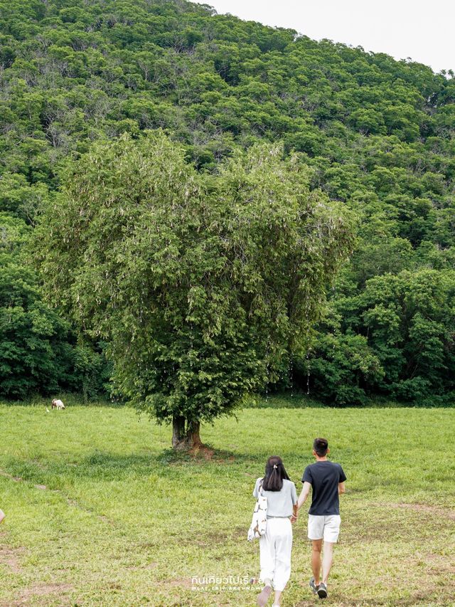 เล่นกิจกรรมสนุกๆ ที่ไร่ทองสมบูรณ์คลับ🏎🌳