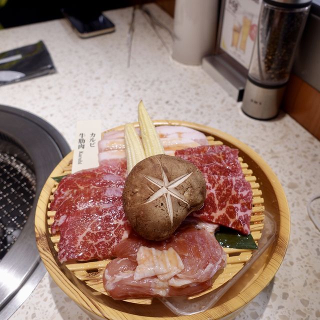 食肉獸最啱🥰