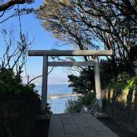 【茨城】宝くじが当たる金運スポット💰酒列磯前神社
