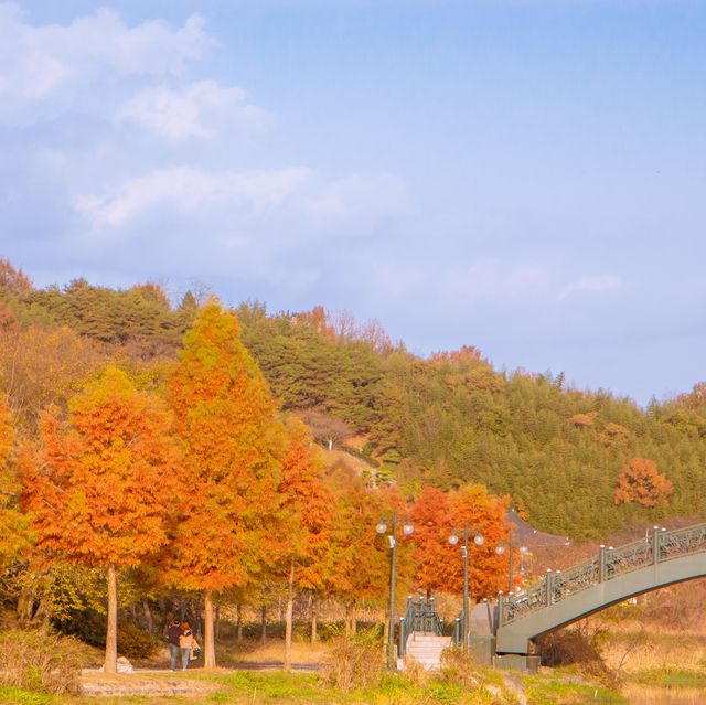 담양 메타프로방스 그림같은 풍경!