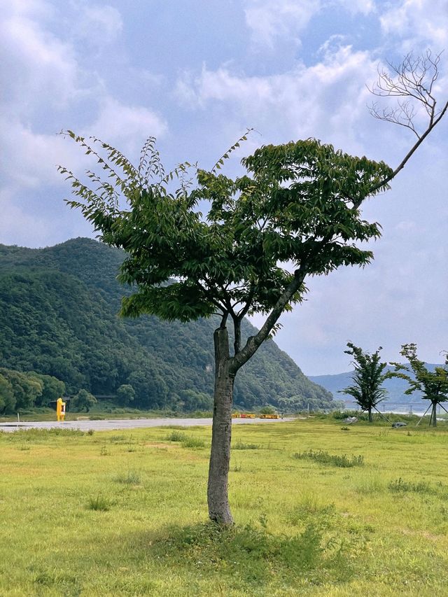 경남 봄나들이 포토스팟 📸