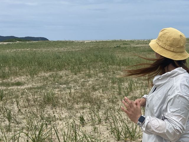 둘리가 태어난 후에 생겨진 태안 신두리 해안사구🎶