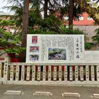 【兵庫県 神戸市】生田の森、生田神社✨✨
