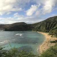 【ハワイ】透明度バツグン‼️朝イチで楽しむシュノーケル