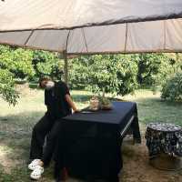 สติ คาเฟ่ (คาเฟ่ในสวนมะม่วง ณ ศรีสำโรง)
