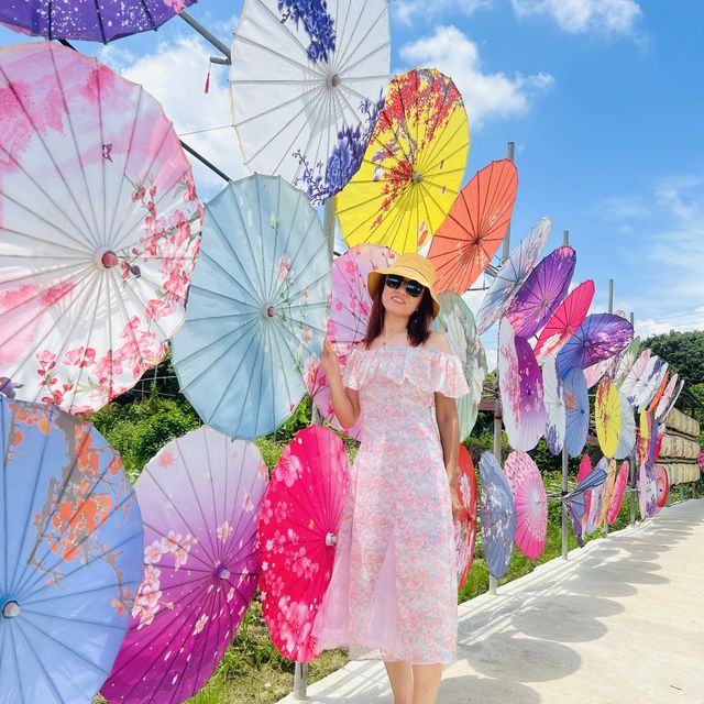 夏天的信心農莊
