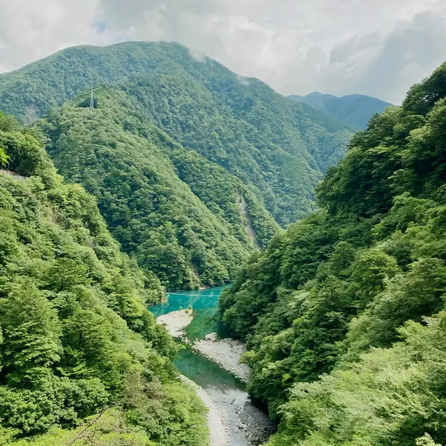 寸又峡・寸又川の緑が目にしみます。