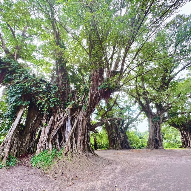 Experience the real island - Tanna Island 