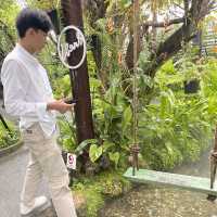 หลงป่าคาเฟ่ อุดรธานี📌
